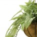 ASKILI SEPETTE SİNGONYUM 60 CM
